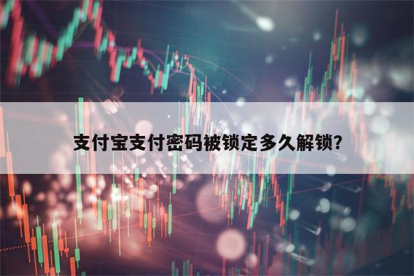 支付宝支付密码被锁定多久解锁？