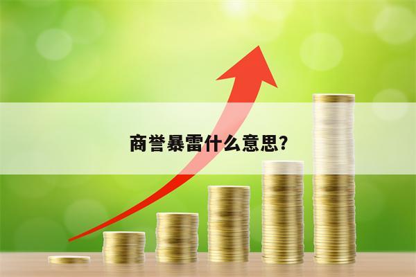 商誉暴雷什么意思？