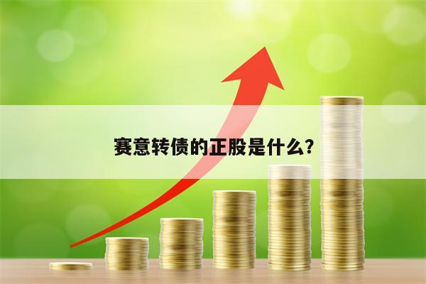 赛意转债的正股是什么？