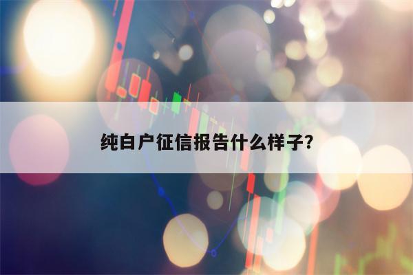 纯白户征信报告什么样子？