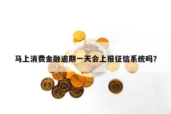 马上消费金融逾期一天会上报征信系统吗？