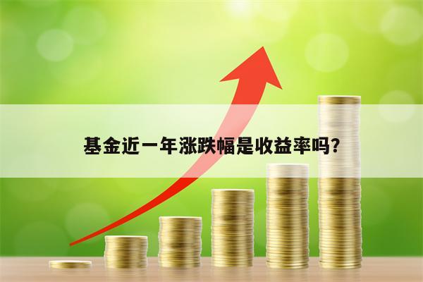 基金近一年涨跌幅是收益率吗？