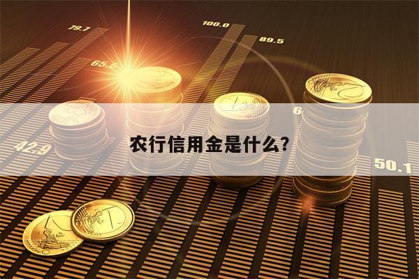 农行信用金是什么？