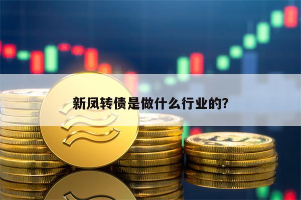 新凤转债是做什么行业的？