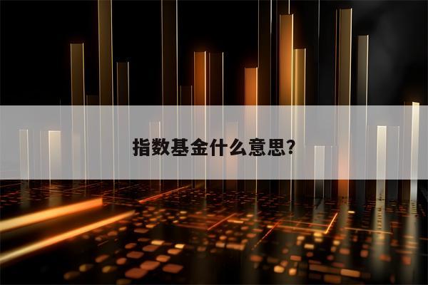 指数基金什么意思？