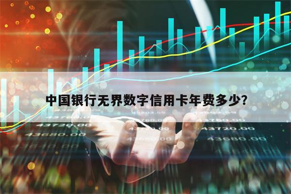 中国银行无界数字信用卡年费多少？