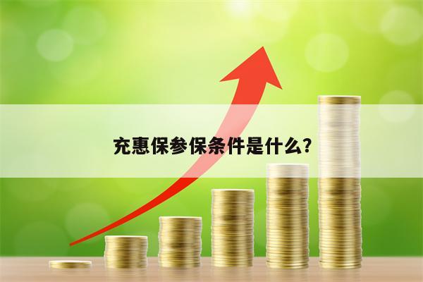 充惠保参保条件是什么？