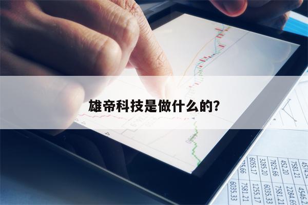 雄帝科技是做什么的？