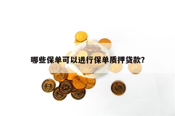 哪些保单可以进行保单质押贷款？