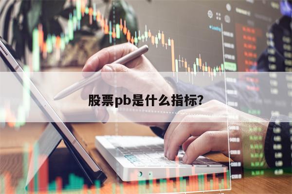 股票pb是什么指标？