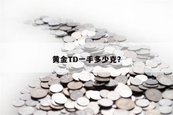 黄金TD一手多少克？