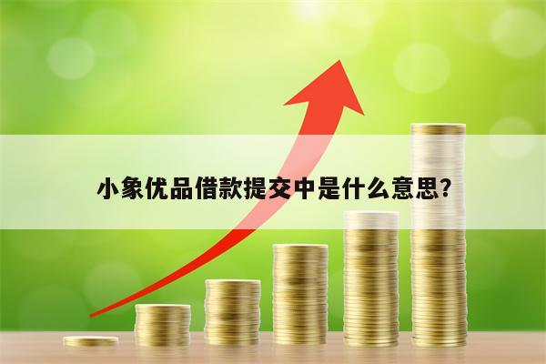 小象优品借款提交中是什么意思？