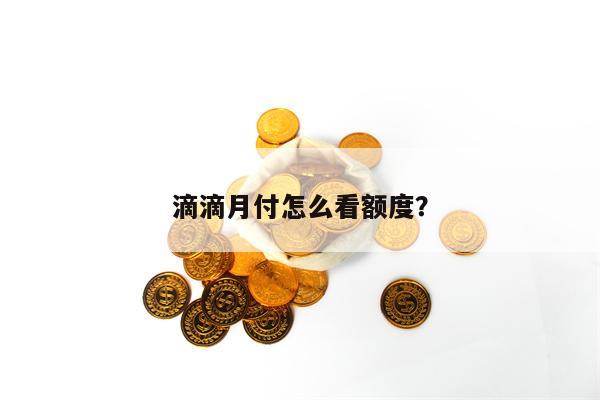 滴滴月付怎么看额度？