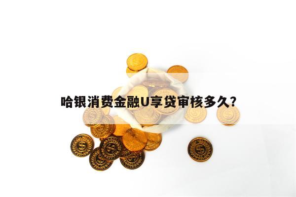 哈银消费金融U享贷审核多久？