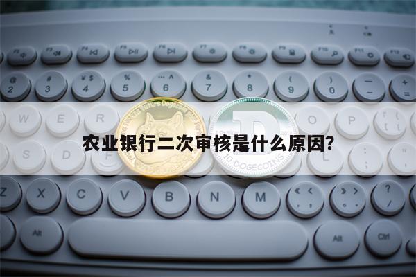 农业银行二次审核是什么原因？