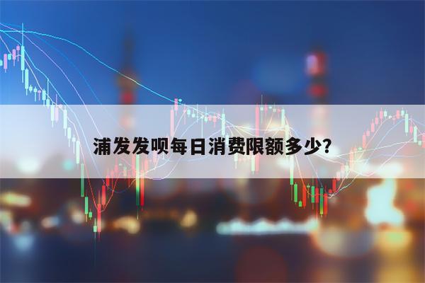 浦发发呗每日消费限额多少？