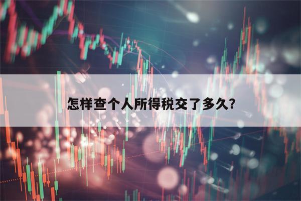 怎样查个人所得税交了多久？