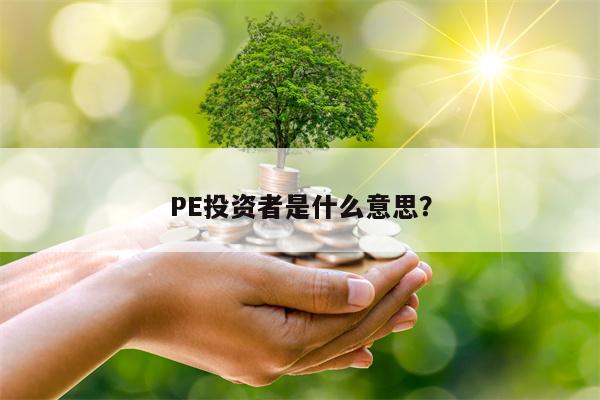 PE投资者是什么意思？