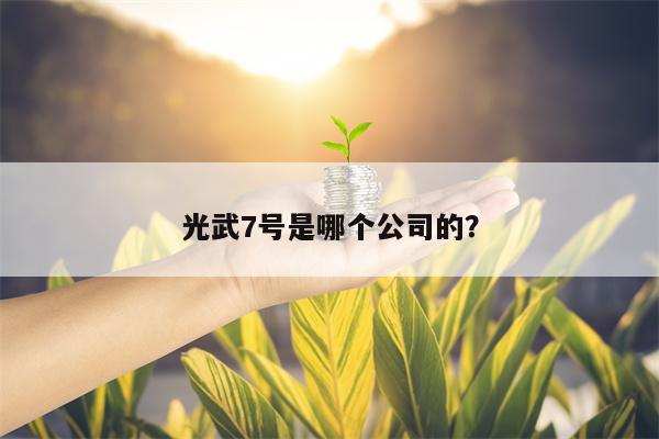 光武7号是哪个公司的？