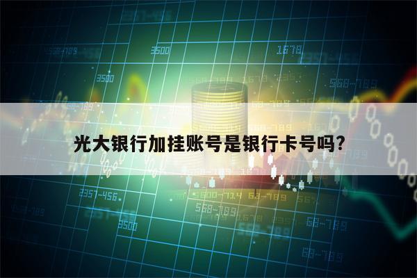 光大银行加挂账号是银行卡号吗?