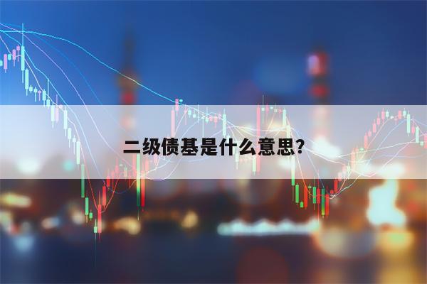 二级债基是什么意思？