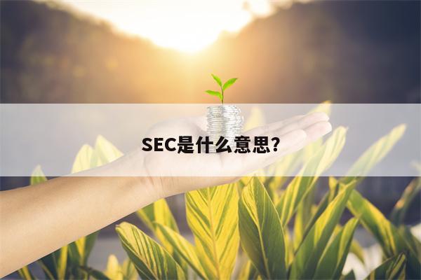 SEC是什么意思？