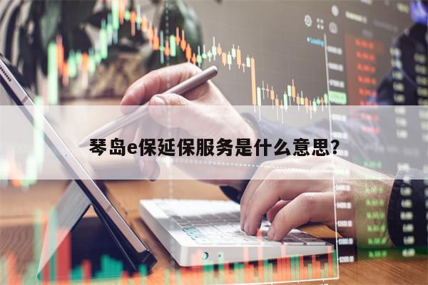 琴岛e保延保服务是什么意思？