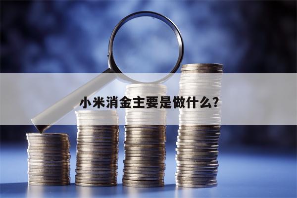 小米消金主要是做什么？