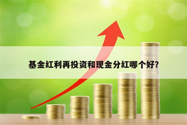 基金红利再投资和现金分红哪个好？