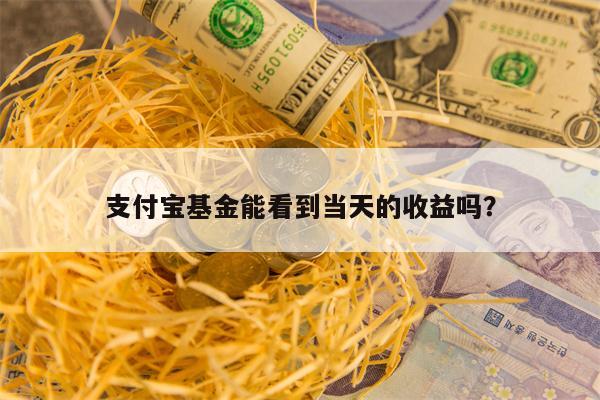 支付宝基金能看到当天的收益吗？