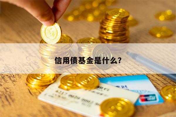 信用债基金是什么？