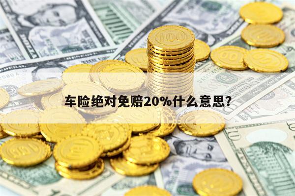 车险绝对免赔20%什么意思？