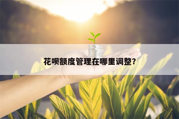 花呗额度管理在哪里调整？