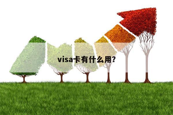 visa卡有什么用？