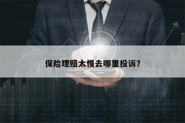 保险理赔太慢去哪里投诉？