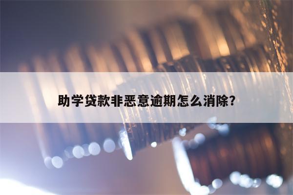 助学贷款非恶意逾期怎么消除？