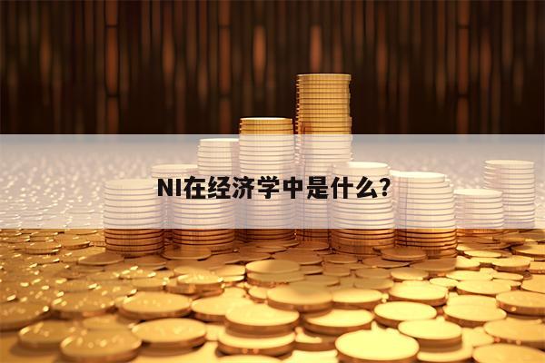 NI在经济学中是什么？