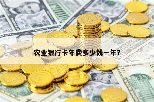 农业银行卡年费多少钱一年？