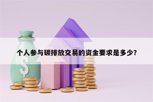 个人参与碳排放交易的资金要求是多少？