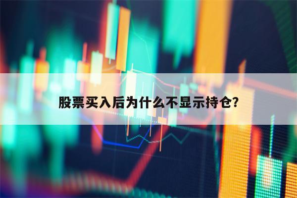 股票买入后为什么不显示持仓？