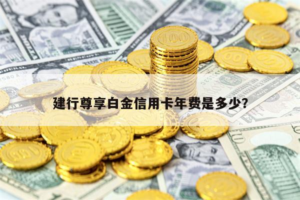 建行尊享白金信用卡年费是多少？