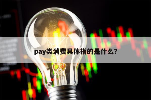 pay类消费具体指的是什么？