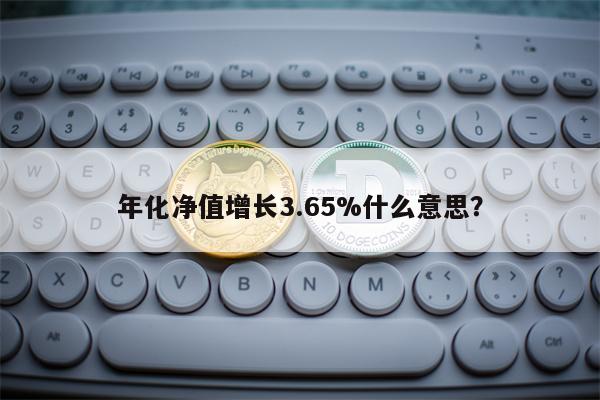 年化净值增长3.65%什么意思？