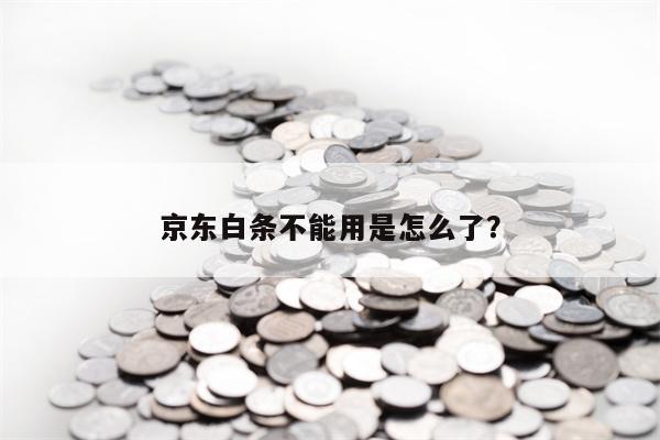 京东白条不能用是怎么了？