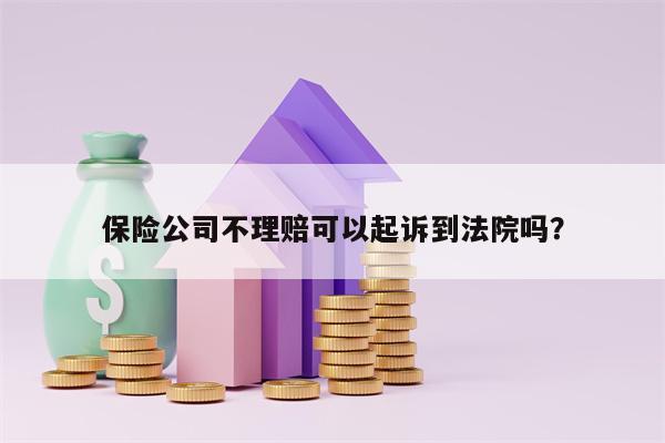 保险公司不理赔可以起诉到法院吗？